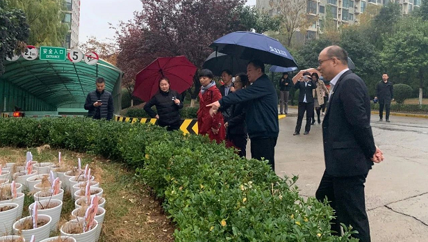 1605750747737153.png 1605750747737153.png